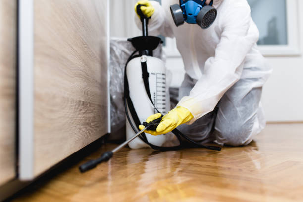 Best Affordable Pest Control Services  in Hendersonville, TN