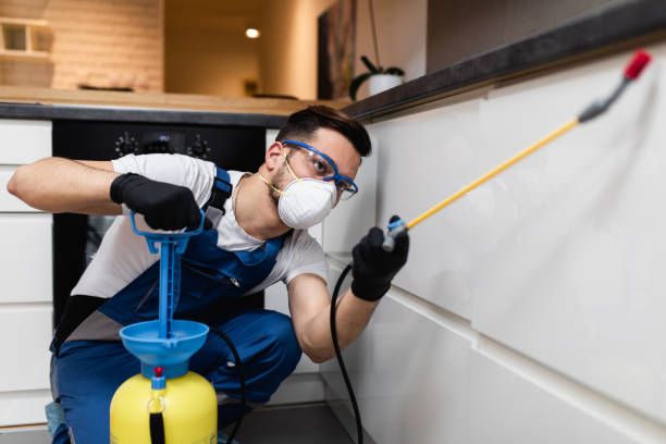 Best Bed Bug Extermination  in Hendersonville, TN