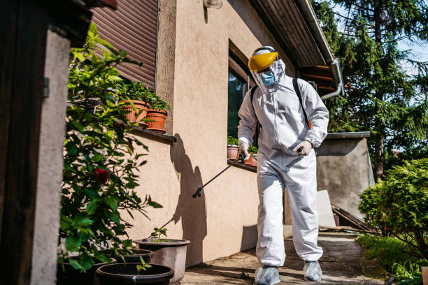 Best Rodent Control Near Me  in Hendersonville, TN
