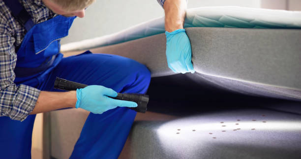 Best Mosquito Control Services  in Hendersonville, TN