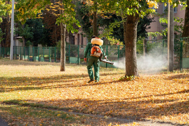 Best Pest Removal Services  in Hendersonville, TN