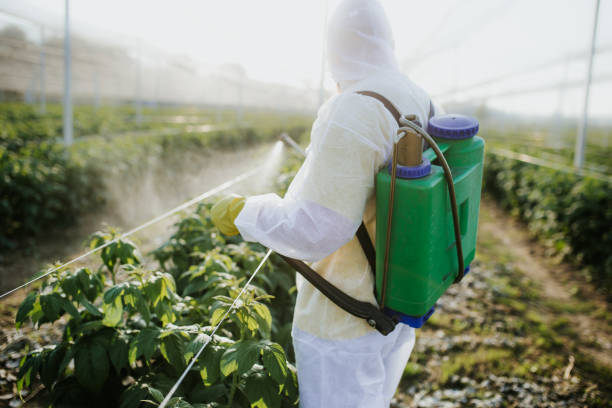 Reliable Hendersonville, TN Pest Control Solutions
